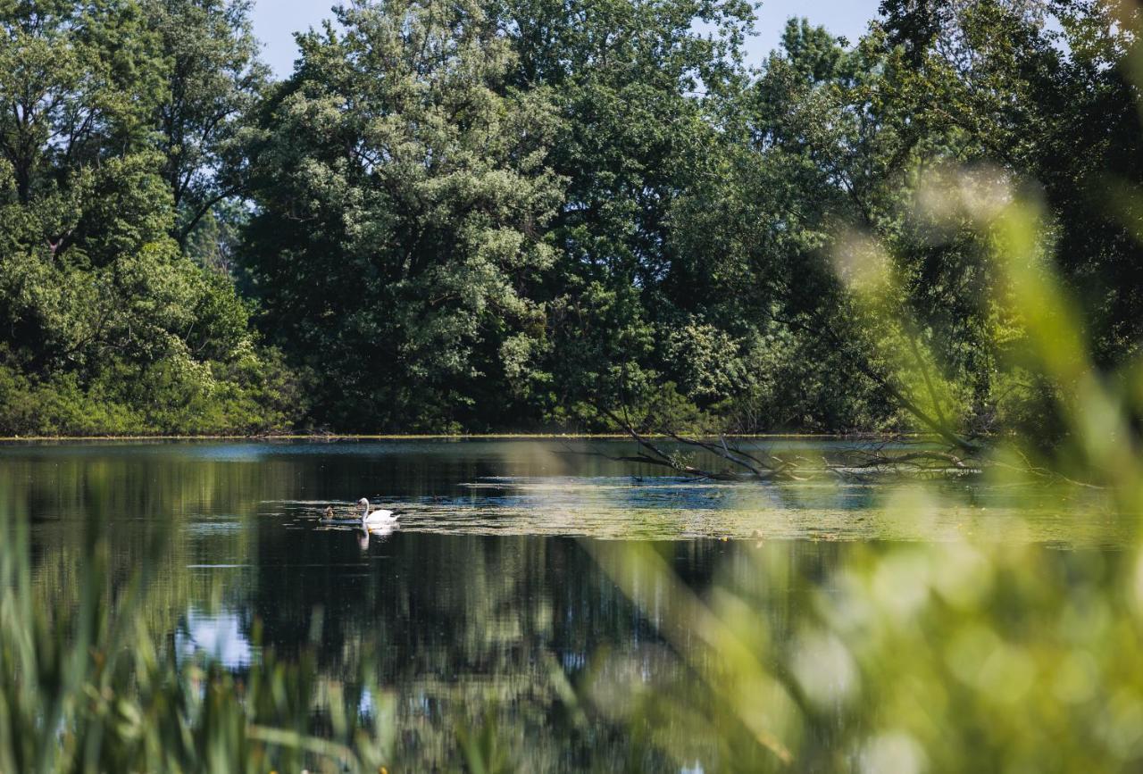 Rajski Vrt - Lake House - Paradise Garden Sisak Zewnętrze zdjęcie